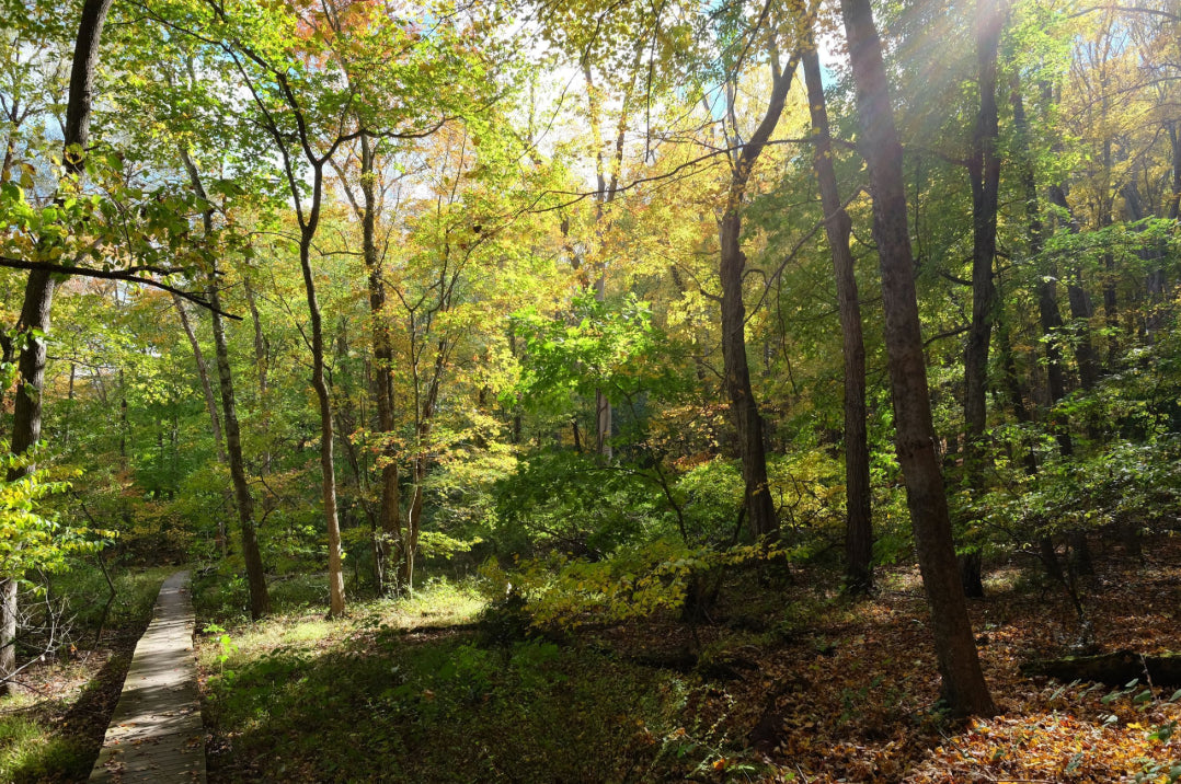 Best Rides Near Greenwich: CT & Westchester Bike-Friendly Trails