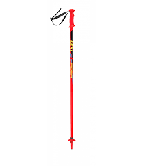 Leki Rider Kids Ski Poles
